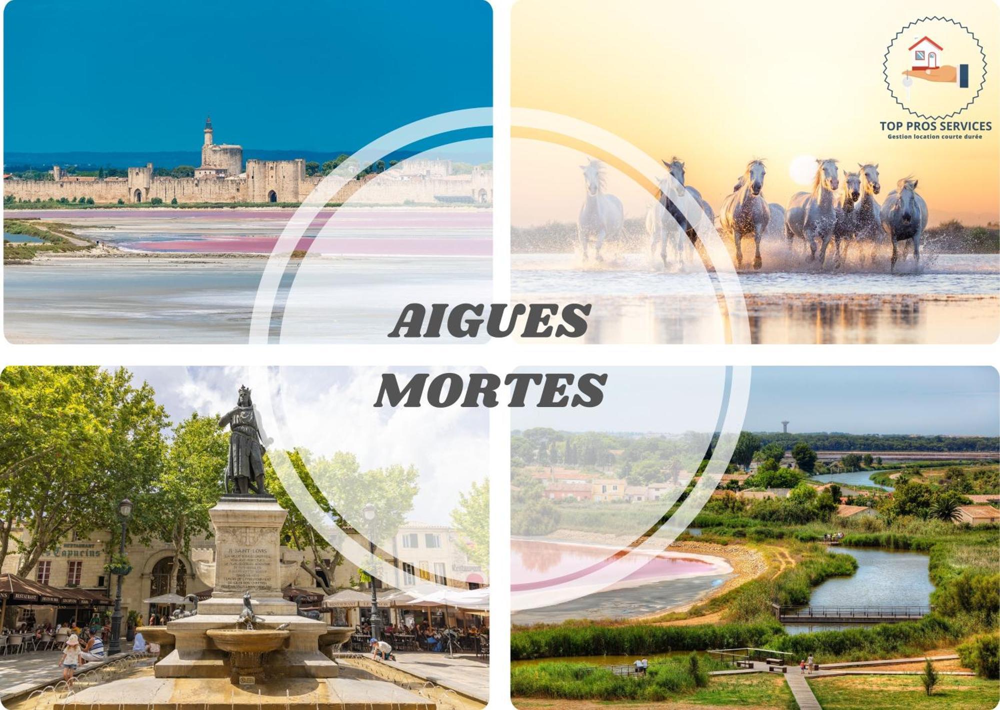 Les Marines Port 2 Min Plage Camargue- Top Pros Services Conciergerie La Grande Motte Mauguio Exterior foto